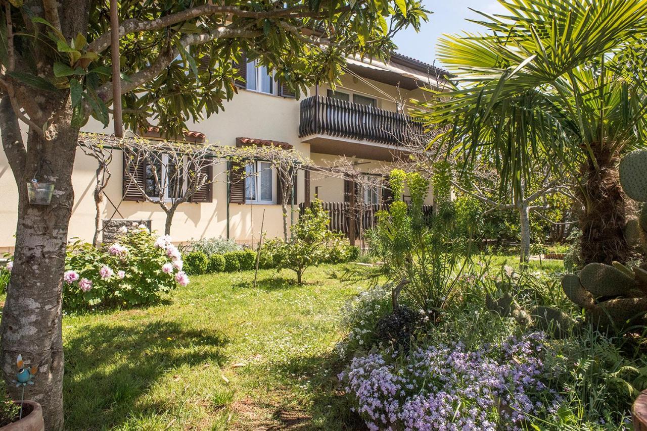 Apartment Lori Fažana Εξωτερικό φωτογραφία