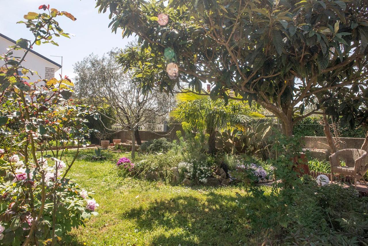 Apartment Lori Fažana Εξωτερικό φωτογραφία